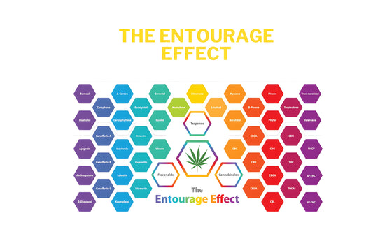 the entourage effect